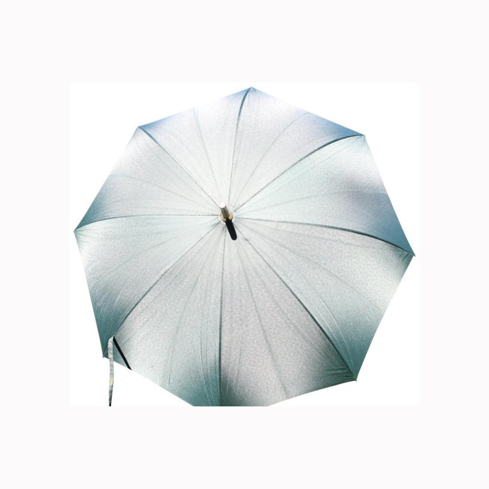 Louis Vuitton Green Umbrella 1020lv57